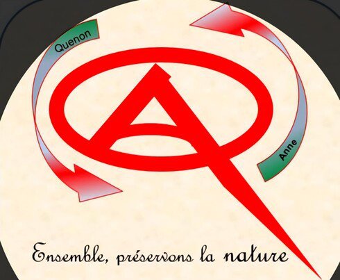 les créations d'anneque